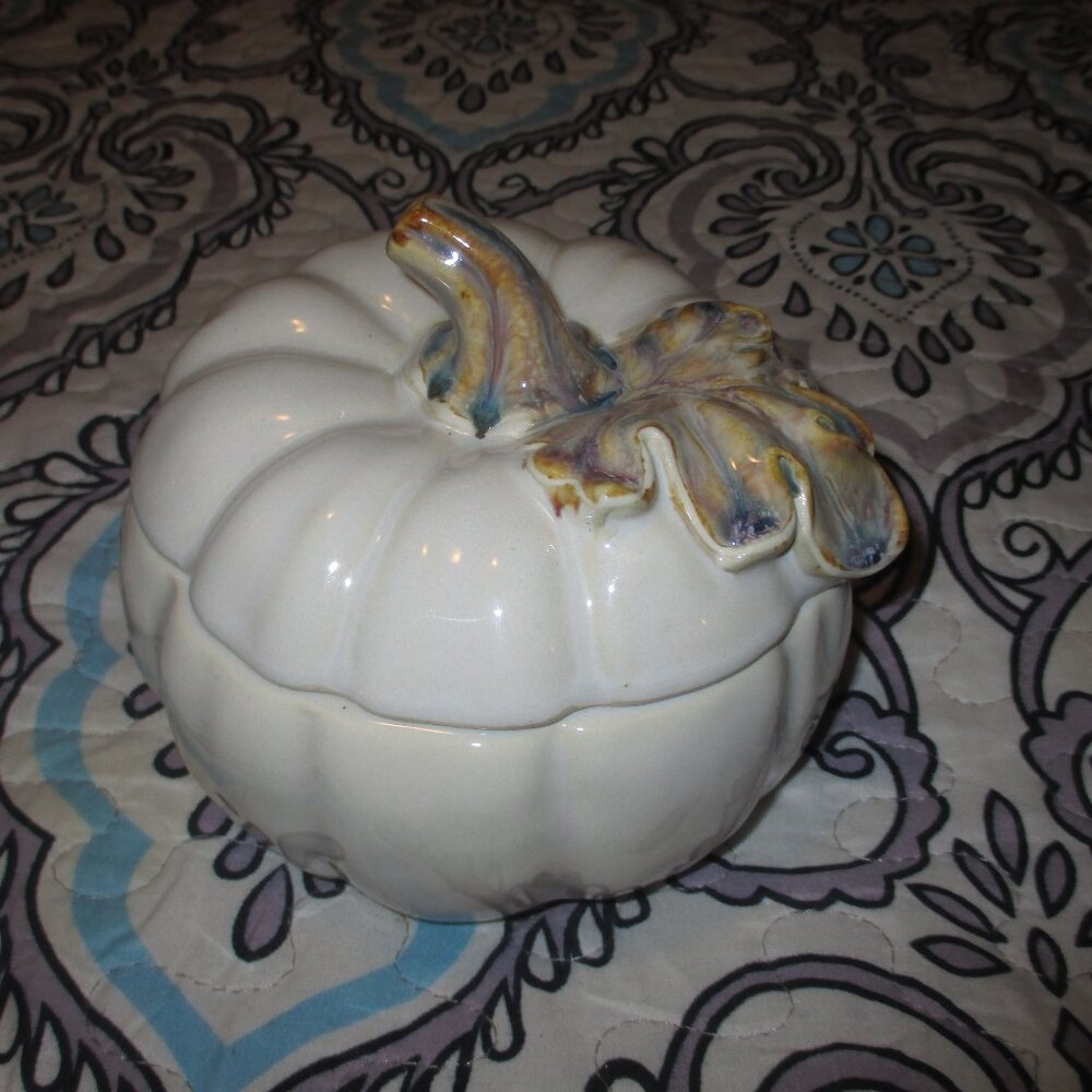 Pier 1 Small White Pumpkin Soup Bowl With Lid Never Used